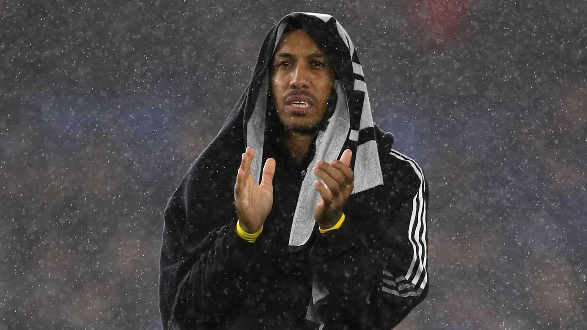 运动的网友 运动的网友