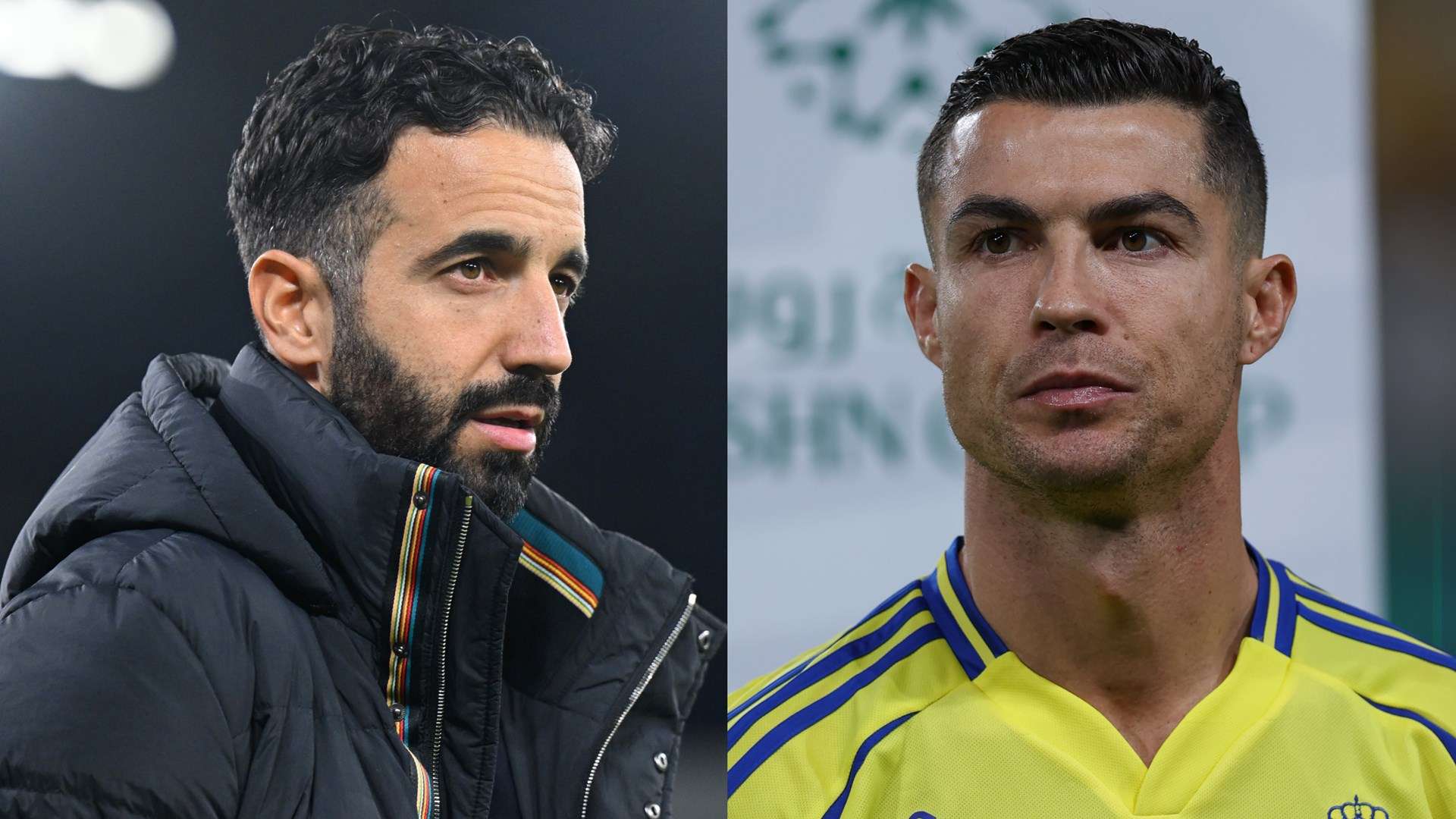 球迷可以在 球迷可以在